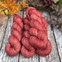 Pendle DK in Diascia (Dyelot 271025)