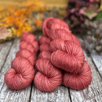 Pendle DK in Diascia (Dyelot 271025)