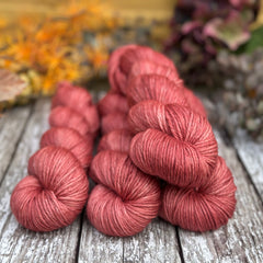 Pendle DK in Diascia (Dyelot 271025)