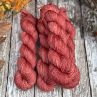 Pendle DK in Diascia (Dyelot 271025)