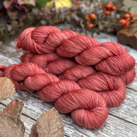 Pendle DK in Diascia (Dyelot 271025)