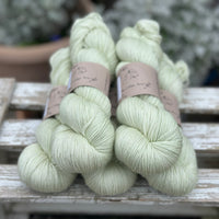 Titus 4ply in Green Tea (Dyelot 120325)