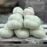 Titus 4ply in Green Tea (Dyelot 120325)