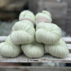 Titus 4ply in Green Tea (Dyelot 120325)