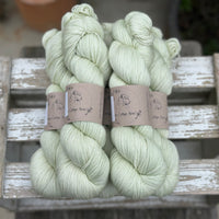 Titus 4ply in Green Tea (Dyelot 120325)