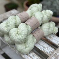 Titus 4ply in Green Tea (Dyelot 120325)