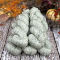 Pendle DK in Silver Birch (Dyelot 271025)