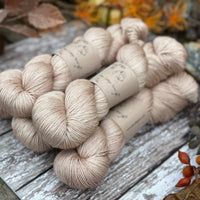 Titus 4ply in Driftwood (Dyelot 230925)