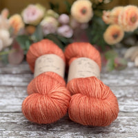 Brimham 4ply in Bog Myrtle (Dyelot 060226)