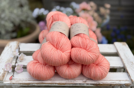 Brimham Bio 3ply in Apricot Tulip (Dyelot 050426)