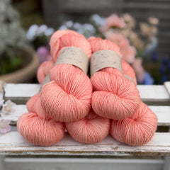 Brimham Bio 3ply in Apricot Tulip (Dyelot 050426)