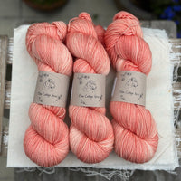 Rosedale 4ply in Apricot Tulip (Dyelot 070425)