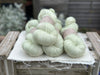 Rosedale 4ply in Green Tea (Dyelot 070425)
