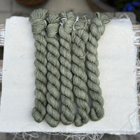 Brimham 4ply 20g Mini Skein in Ivy (Dyelot 041124)
