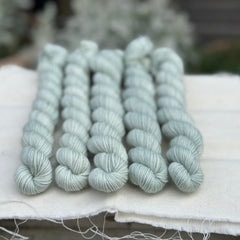 Brimham 4ply 20g Mini Skein in Silver Birch (Dyelot 041124)