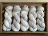 Brimham 4ply in Silver Carpet (Dyelot 060525)