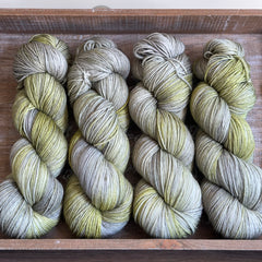 Brimham 4ply in Lakeland (Dyelot 060525)