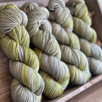 Brimham 4ply in Lakeland (Dyelot 060525)