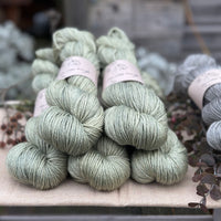 Titus DK in Hedgerow (Dyelot 010525)