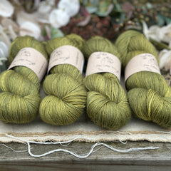 Brimham 4ply in Woodland (Dyelot 060226)