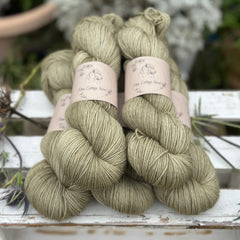 Tempo 4ply in Hedgerow (dyelot 260226)