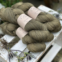 Tempo 4ply in Wax Jacket (dyelot 260226)