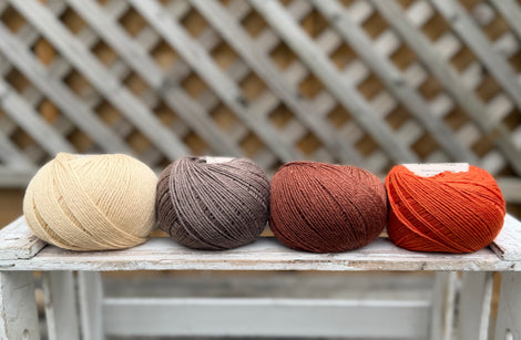 Four colour Milburn 4ply/fingering weight yarn pack - Autumn (200g)