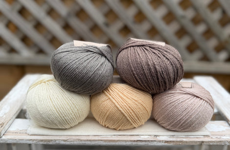 Five colour Milburn DK yarn pack - Warm Neutrals (250g)