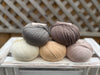 Five colour Milburn DK yarn pack - Warm Neutrals (250g)