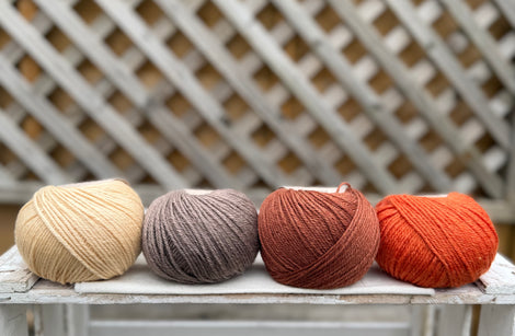 Four colour Milburn DK yarn pack - Autumn (200g)