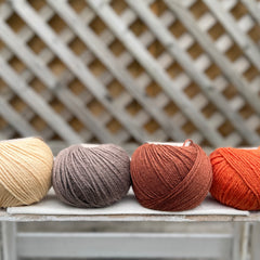 Four colour Milburn DK yarn pack - Autumn (200g)