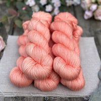 Titus 4ply in Apricot Tulip (Dyelot 220725)