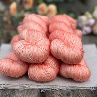 Titus 4ply in Apricot Tulip (Dyelot 220725)