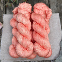Titus 4ply in Apricot Tulip (Dyelot 220725)