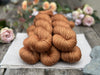 Titus 4ply in Twig (Dyelot 220725)