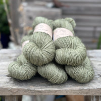 Silverdale DK in Ivy (Dyelot 070825)