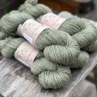 Silverdale DK in Ivy (Dyelot 070825)