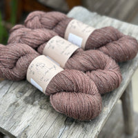 Silverdale DK in Compost