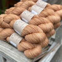 Brimham Aran in Falling Leaves (Dyelot 210825)