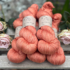 Titus 4ply in Bog Myrtle (Dyelot 260825)