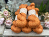 Titus 4ply in Copper Bucket (Dyelot 260825)