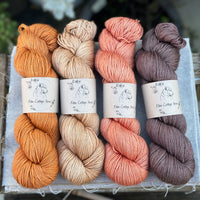 Four colour hand dyed Titus 4ply yarn pack - Autumn Oak