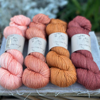 Four colour hand dyed Titus 4ply yarn pack - Late Summer