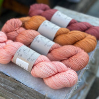 Four colour hand dyed Titus 4ply yarn pack - Late Summer