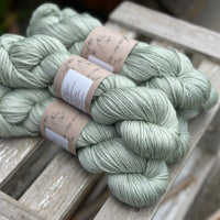Titus DK in Misty Woods (Dyelot 120925)