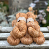 Carlisle Fingering in Falling Leaves (Dyelot 120925)