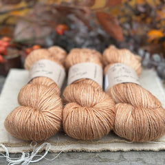 Silverdale DK in Falling Leaves (Dyelot 070825)