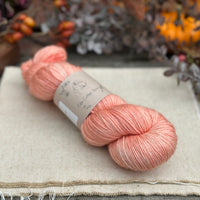 Rosedale 4ply in Apricot Tulip (Dyelot 060825)