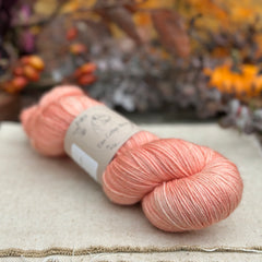 Rosedale 4ply in Apricot Tulip (Dyelot 060825)