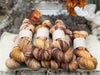 Pendle Aran in Dyepot Luck (Dyelot 151026)